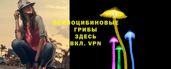 ГАЛЛЮЦИНОГЕННЫЕ ГРИБЫ Абдулино