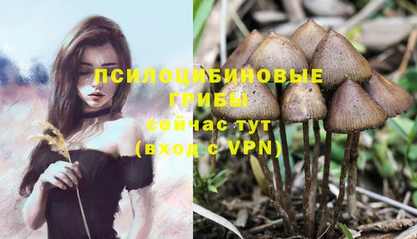 ГАЛЛЮЦИНОГЕННЫЕ ГРИБЫ Абдулино