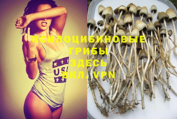 бошки Абинск