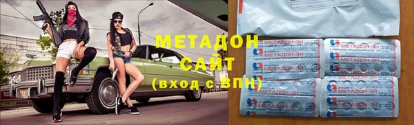индика Алексин