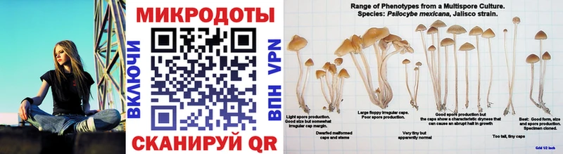mega tor Щёкино Галлюциногенные грибы MAGIC MUSHROOMS где можно купить наркотик