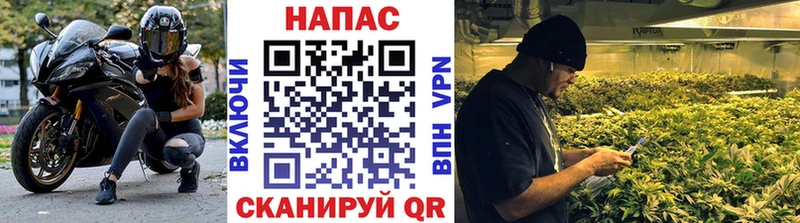 Марихуана тримм  Щёкино 